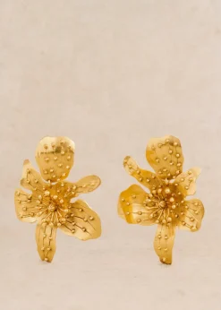 Boucles D'oreilles Albane-Sezane Fashion